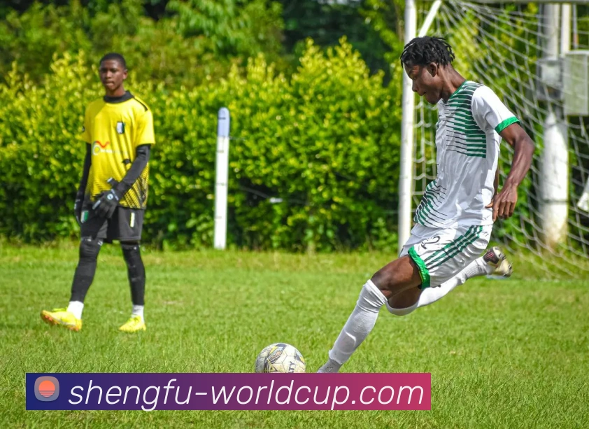 世界杯胜平负平台生态图