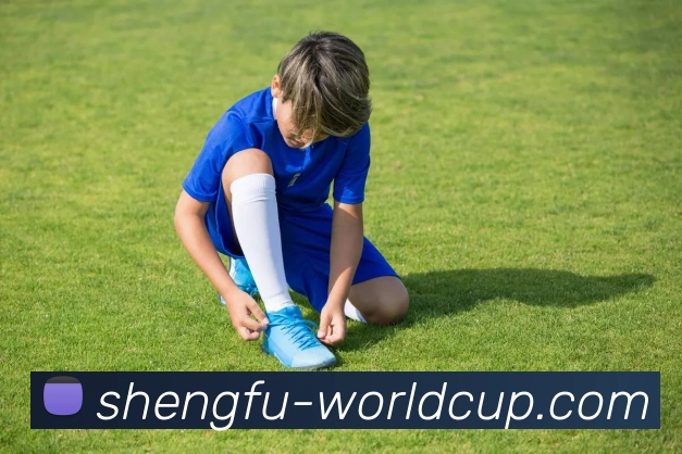 世界杯胜平负APP 封面图